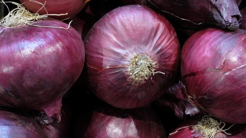 Protect your colon with food: Garlic and onions reduce risk of colorectal cancer