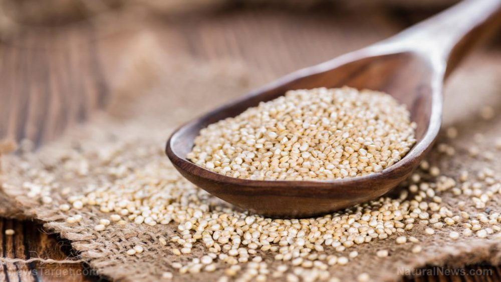 Which is better, quinoa or oatmeal? Comparison of health benefits, nutrients
