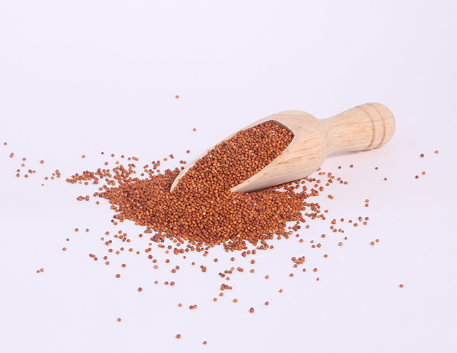 Finger millet (Eleusine coracana) is a nutrient powerhouse: Review