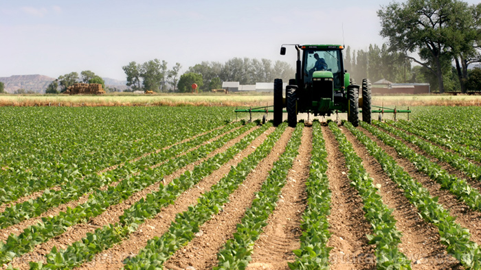 Switching to agricultural practices that call for less plowing can benefit the environment in the long run