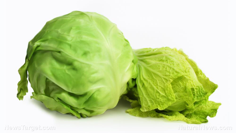 Cabbage 101: What you need to know about different kinds and how to prepare them for maximum health benefits