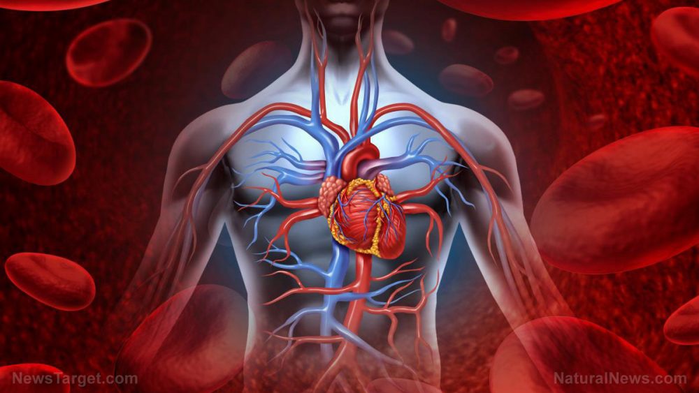 Reduce inflammation to improve heart health: Study