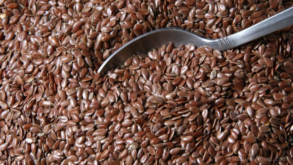 When chemotherapy fails, science turns to… flaxseeds?