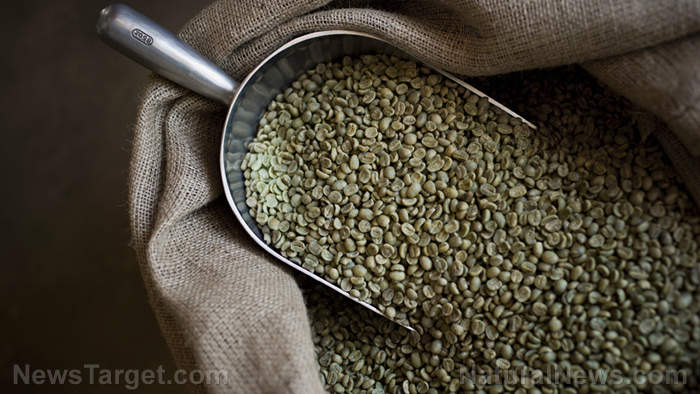 Learn more about the health benefits of chlorogenic acid, the active ingredient in green coffee