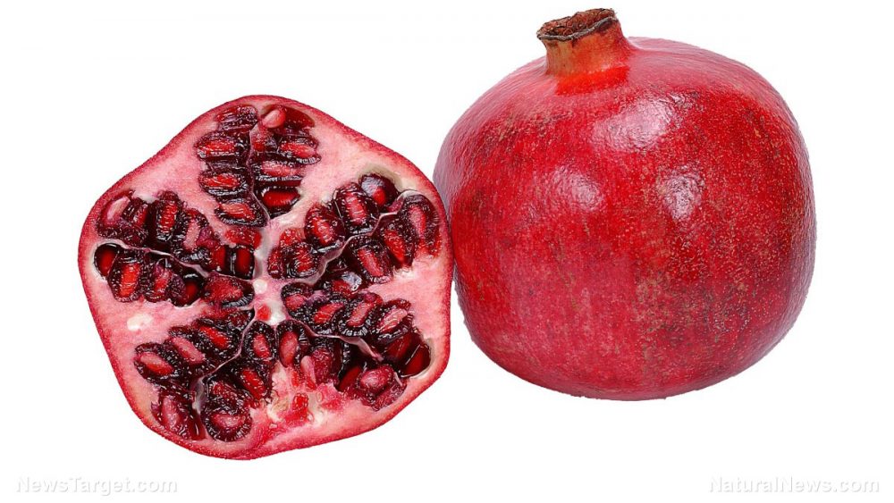 12 Fruits that are packed with protein