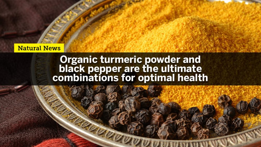 Organic turmeric powder with black pepper is the ultimate combination for optimal health