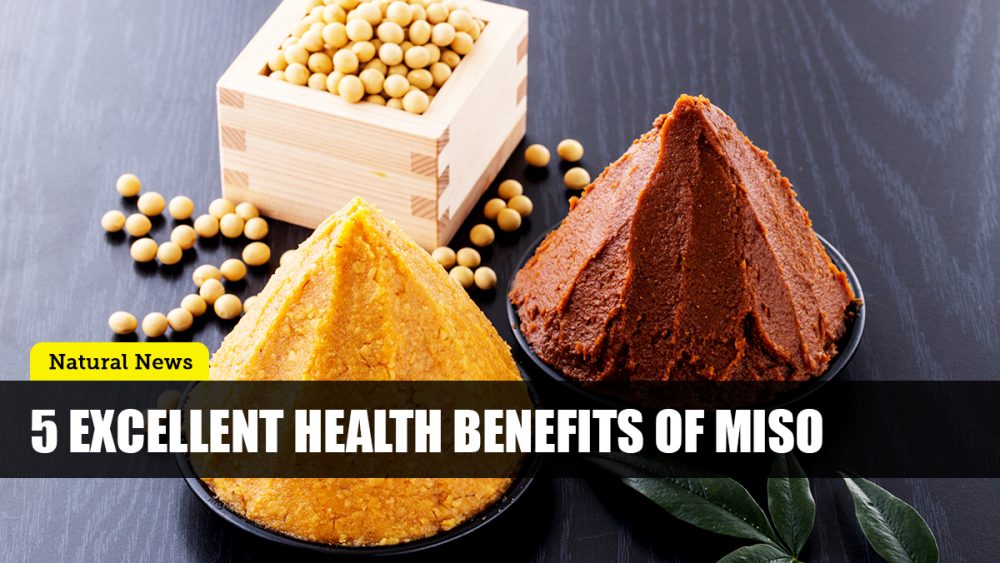 Miso: Add this traditional Japanese condiment to your diet for optimal health