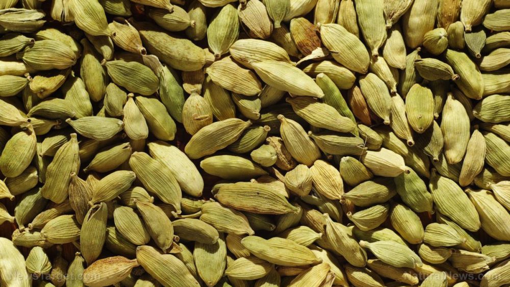Green cardamom supplements can protect the liver for those with obesity