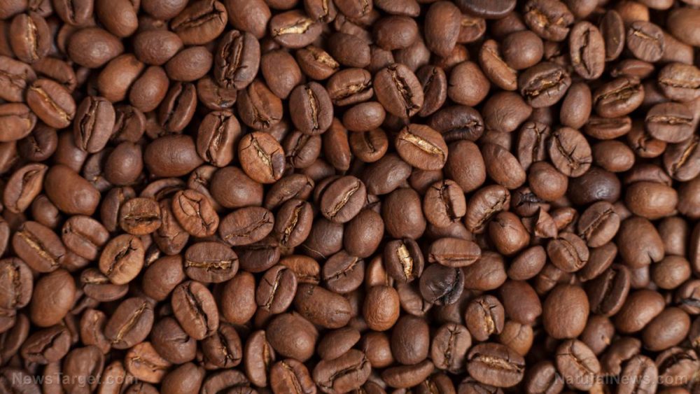 More than a cup of joe: 8 Unexpected ways to recycle coffee grounds