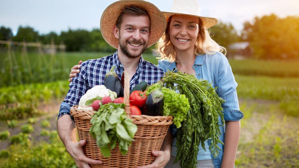 Why home gardening and food preservation is the best form of food insurance
