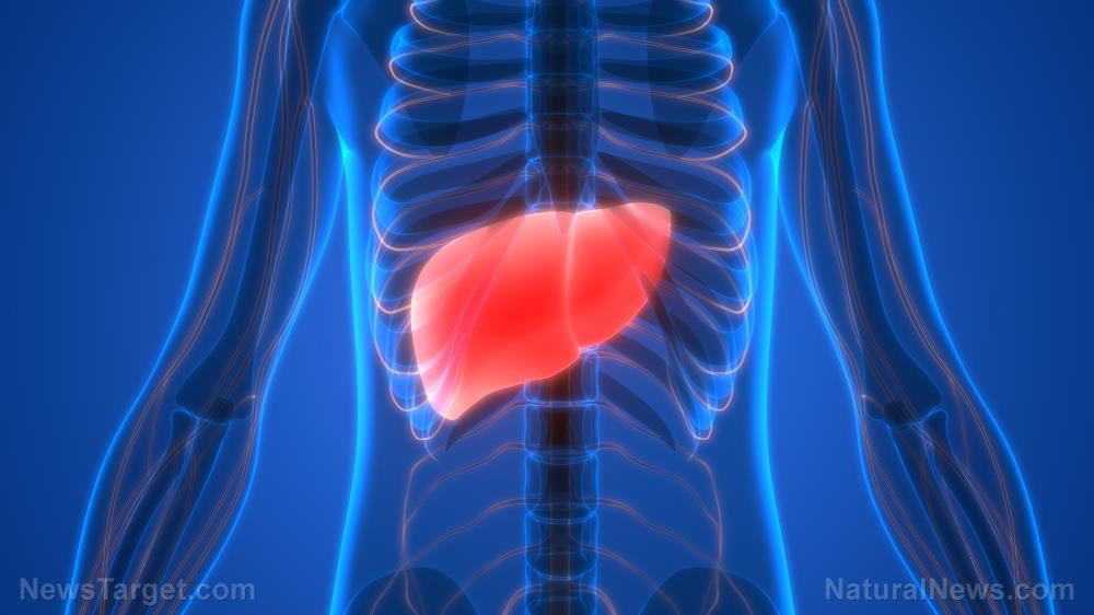 Reverse fatty liver by adding these 5 foods to your diet