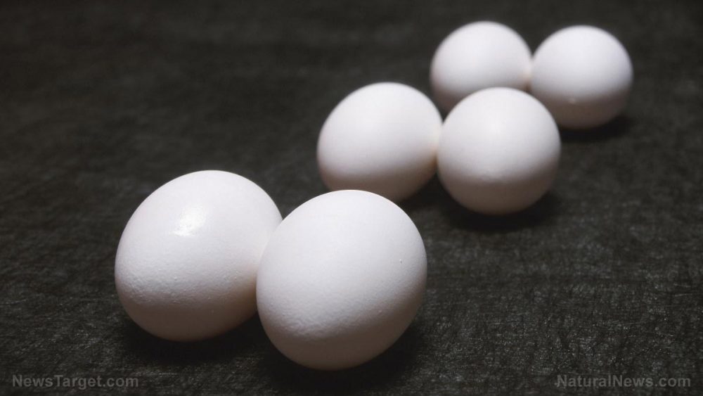 Researchers are “storing” energy using eggshells with new conductive material