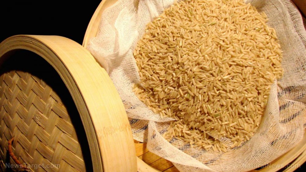 Rice can protect against obesity – if you’re eating the right kind