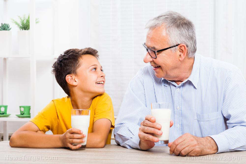 Comparing milks: Which is best for you?