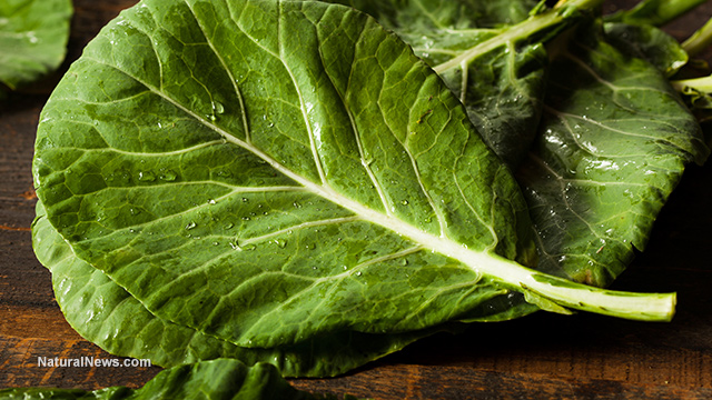 Fantastic bitter greens and 6 reasons why you should eat them