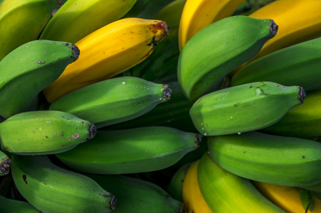 A banana a day can keep depression at bay, says research