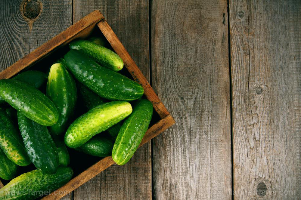 4 Reasons to add CUCUMBERS to your diet