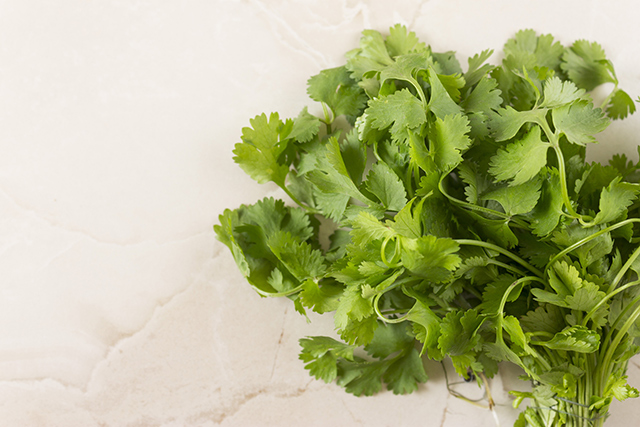 Protect yourself from LEAD poisoning with this delicious herb