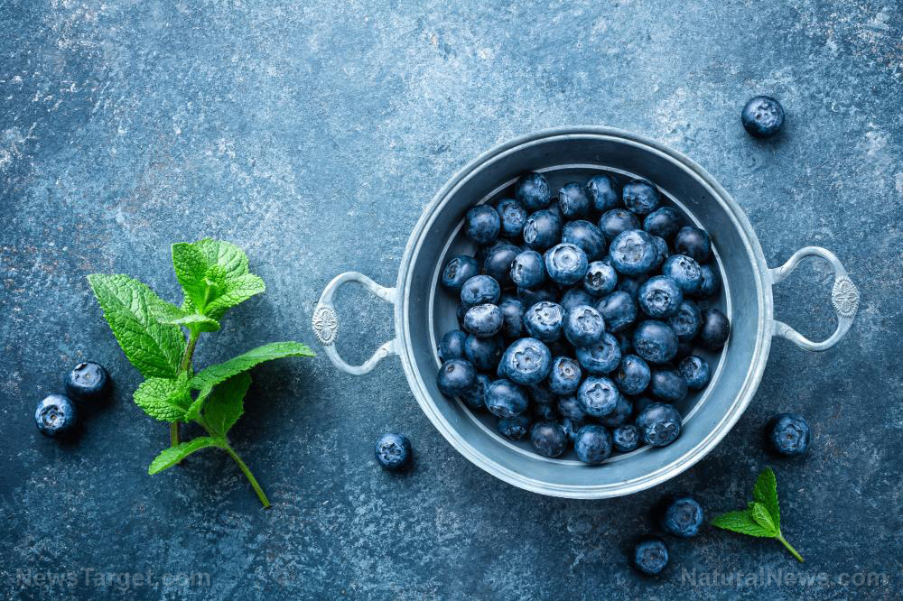 10 Reasons why blueberries are good for you
