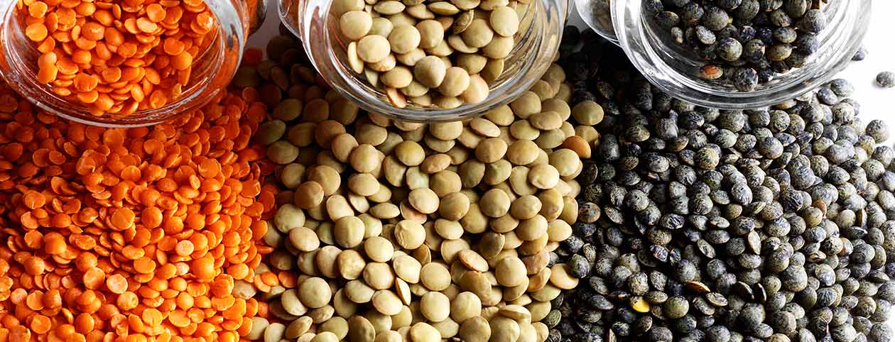 8 Reasons why lentils should be part of a healthy diet