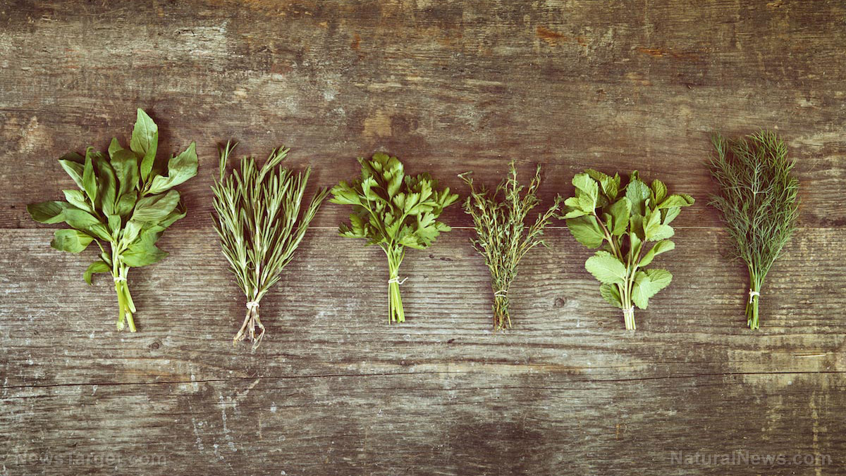 6 Herbs that can effectively lower high blood pressure