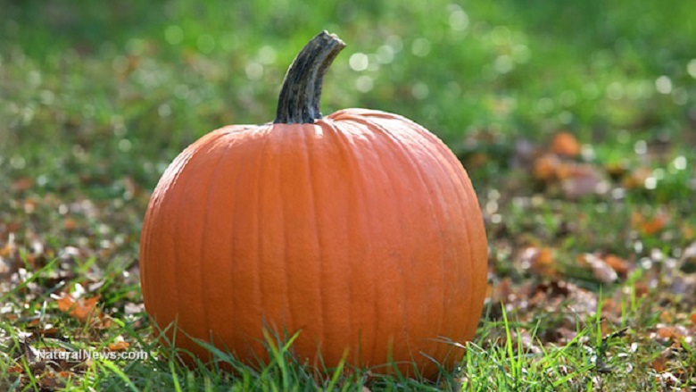 Pumpkins are an amazing superfood that you should have all year round