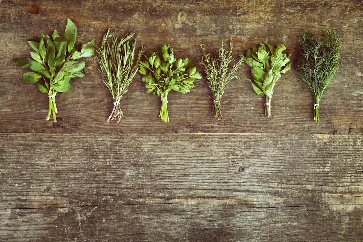 Herb gardening for beginners: How to start an herb garden