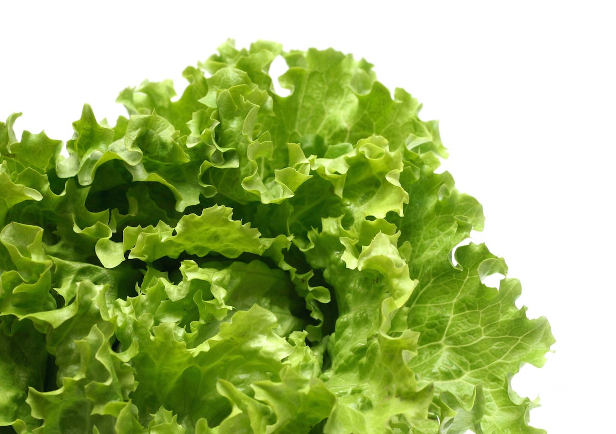 Here’s what you need to know about growing your own lettuce