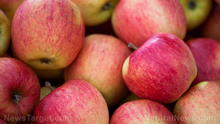 11 Health benefits of eating apples – according to science
