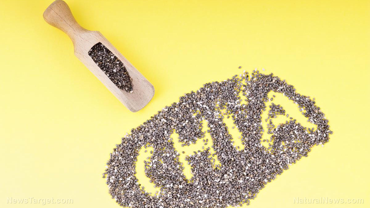 Top 10 Health benefits of chia seeds
