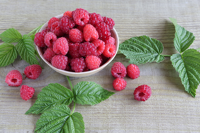 7 Reasons to eat vitamin C-rich raspberries – plus simple and tasty raspberry recipes