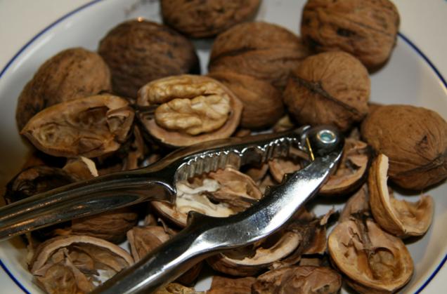 Nuts for walnuts: 9 Science-backed health benefits of snacking on walnuts