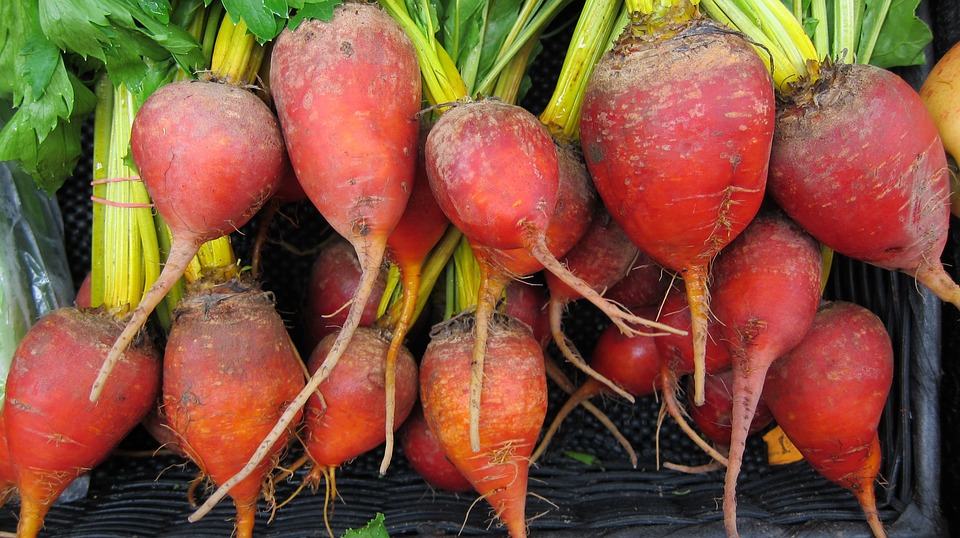Eat more beetroot for better mental health and physical performance
