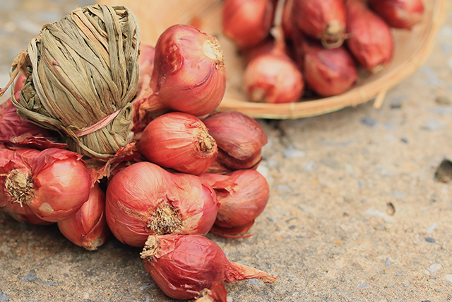 Spice up your life: 5 science-backed health benefits of shallots