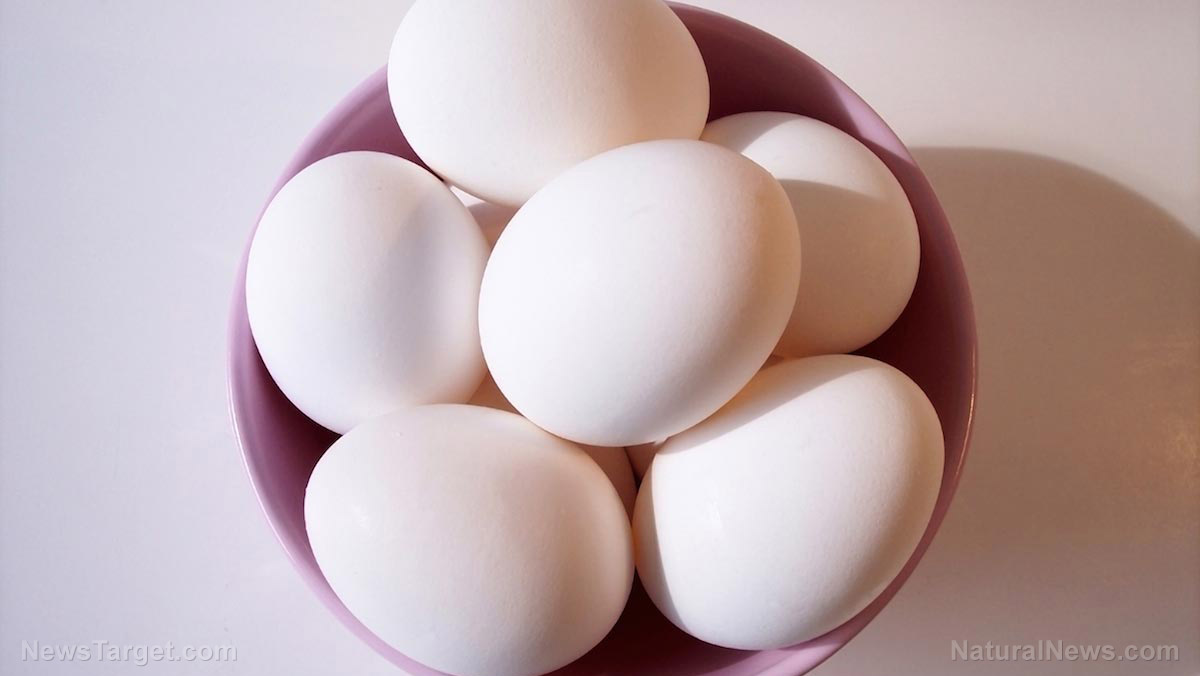 5 Reasons eggs are one of the healthiest foods on the planet (recipes included)
