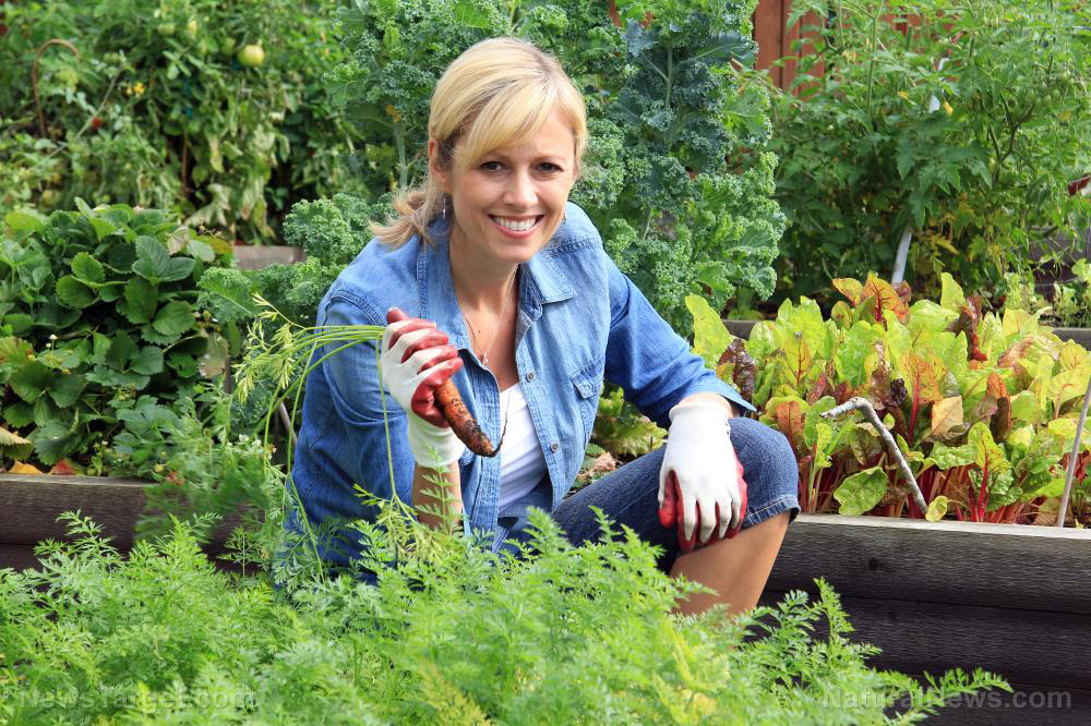 Going green: Be more self-sufficient by starting an organic home garden