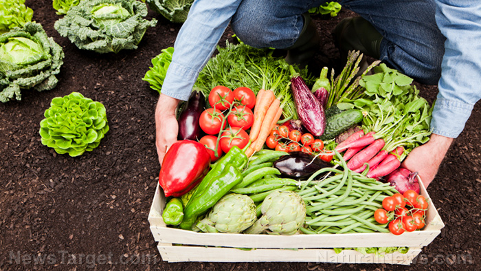Go green, go organic: 10 reasons to choose organic food over conventional ones