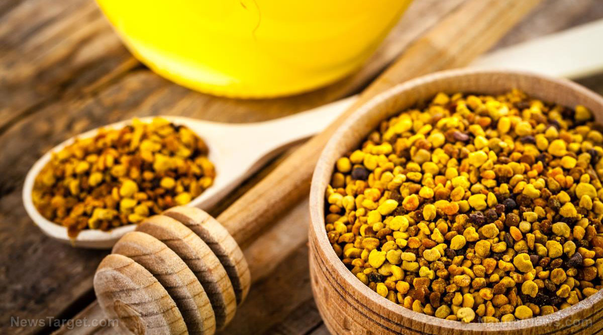 A closer look at bee pollen, a nutrient-packed superfood that comes from bees