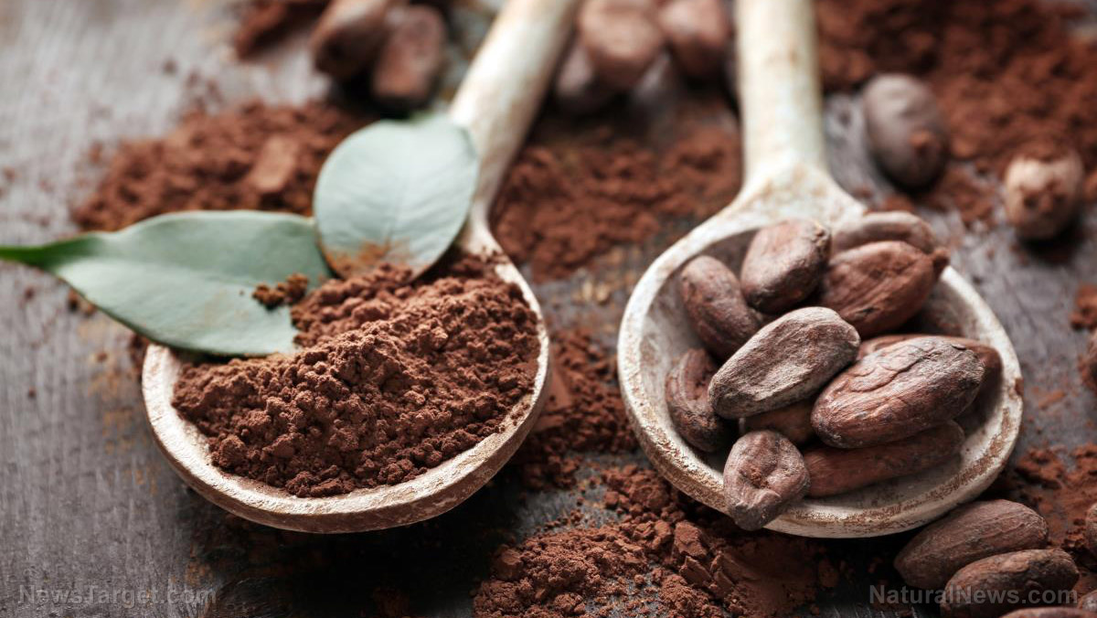 A cup of goodness: get to know the 8 surprising health benefits of organic cocoa