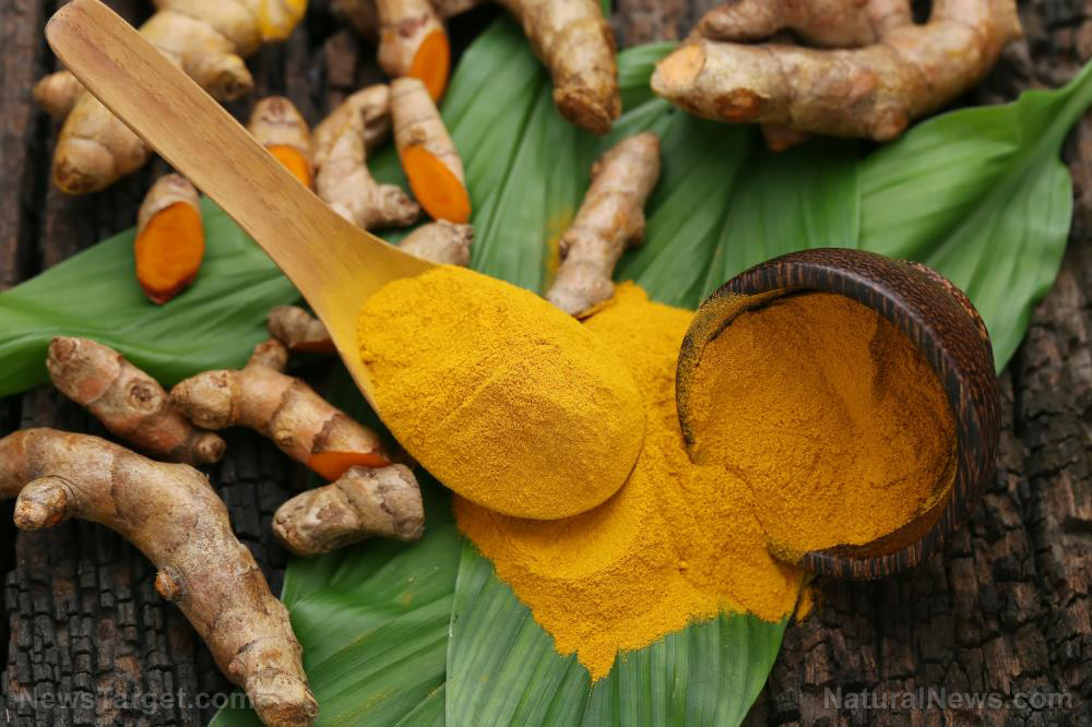 Prevent stomach cancer with curcumin, one of the most potent cancer-fighting agents on the planet