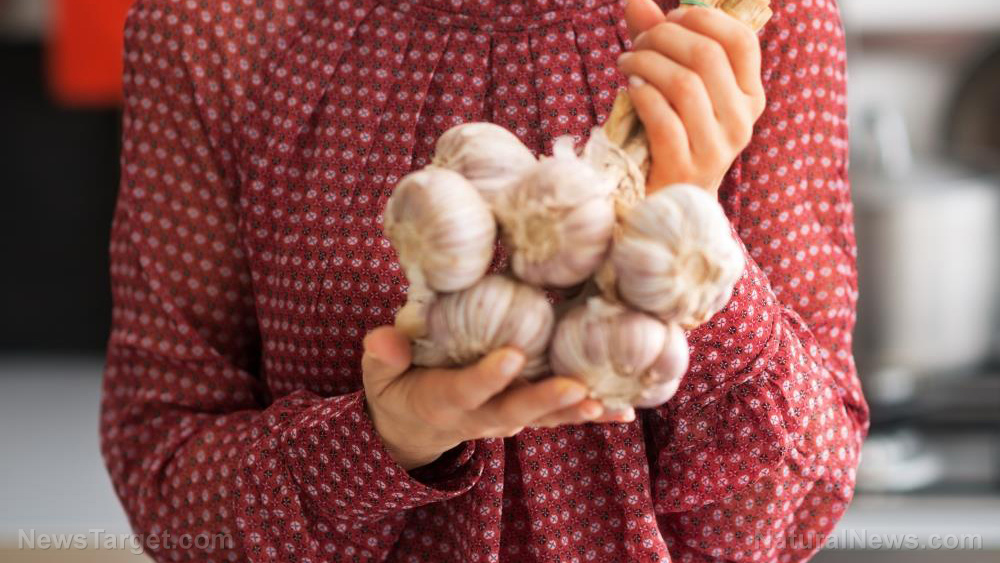 6 Step guide to growing gorgeous garlic