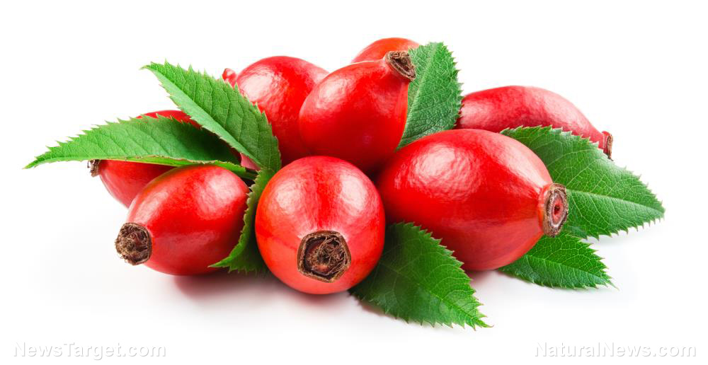 5 Health benefits of vitamin C-rich wild rose hips (recipes included)