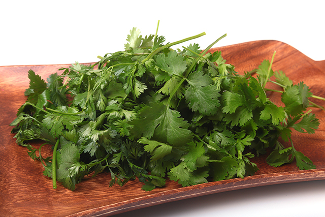 It’s about time you learned about the powerful health benefits of coriander