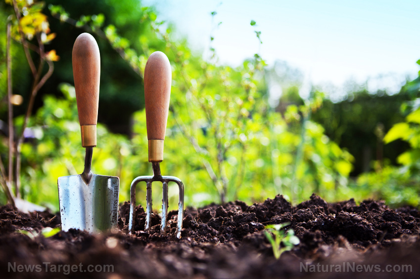 Keeping it green: How to make organic soil for your home garden