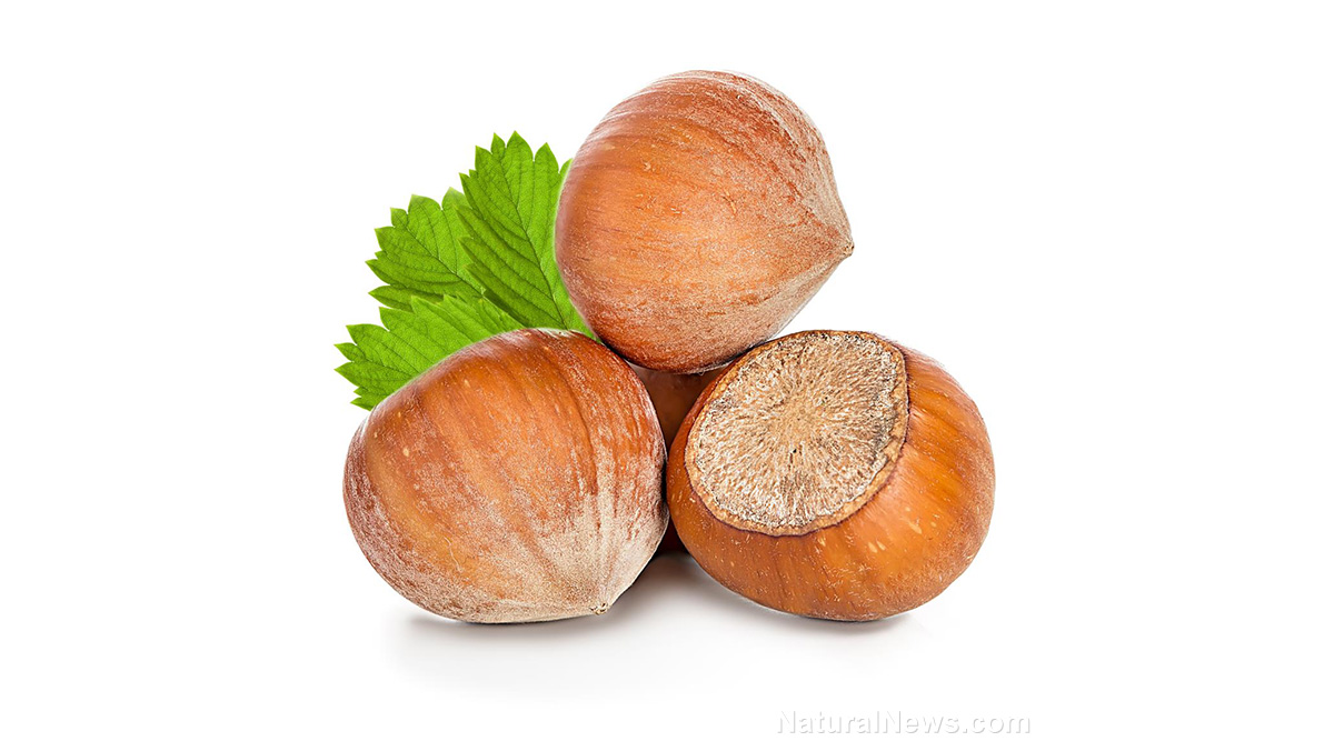8 Good reasons you should eat more hazelnuts as part of your regular diet (recipes included)