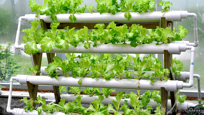 8 Good reasons you should try hydroponic gardening
