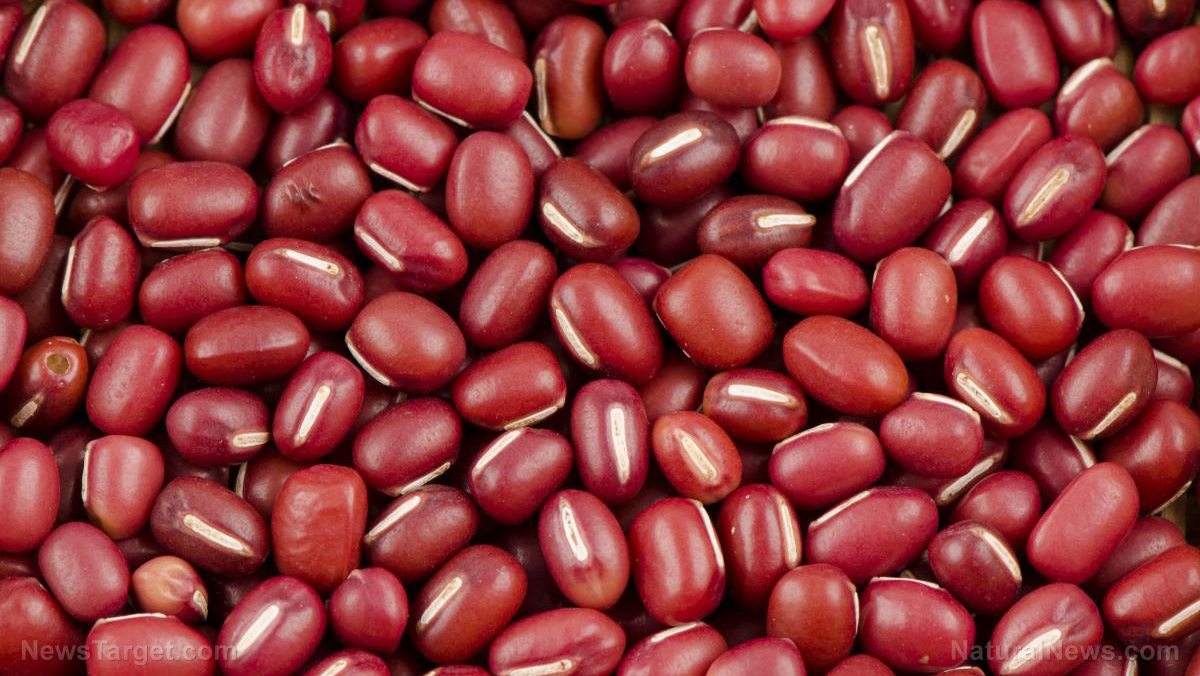 8 things you need to know about the health benefits of kidney beans (recipe included)