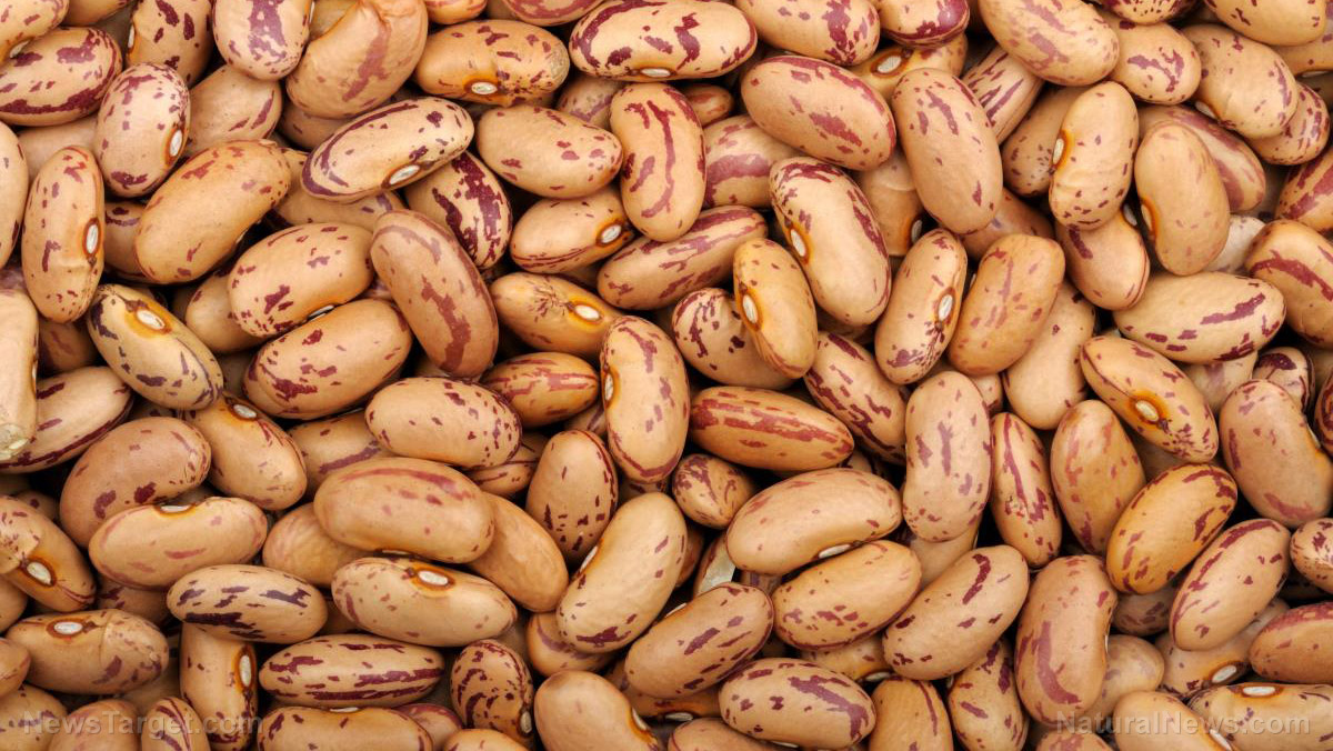 7 Reasons to eat pinto beans, an antioxidant-rich superfood that boosts heart health