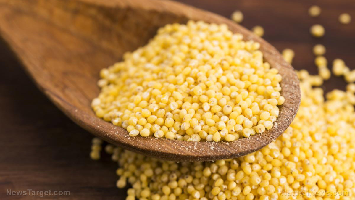 Move over, quinoa: UN says 2023 could be the “International year of millet”