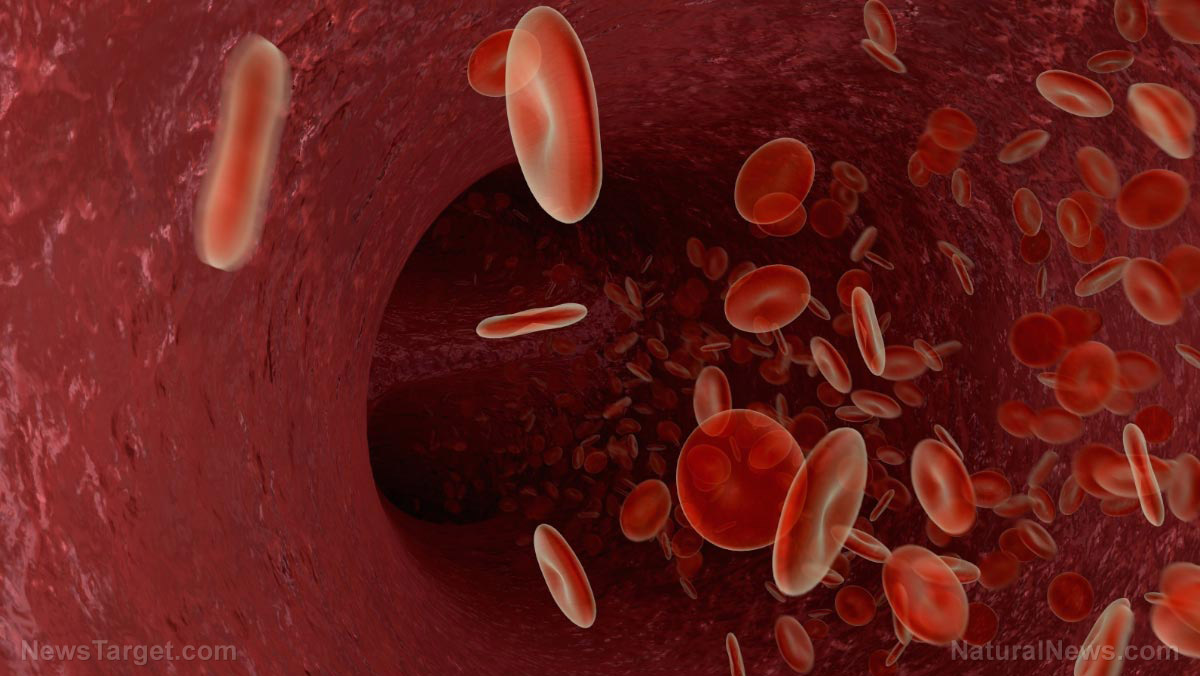 Healthy gut, healthy blood vessels: Study shows link between the two